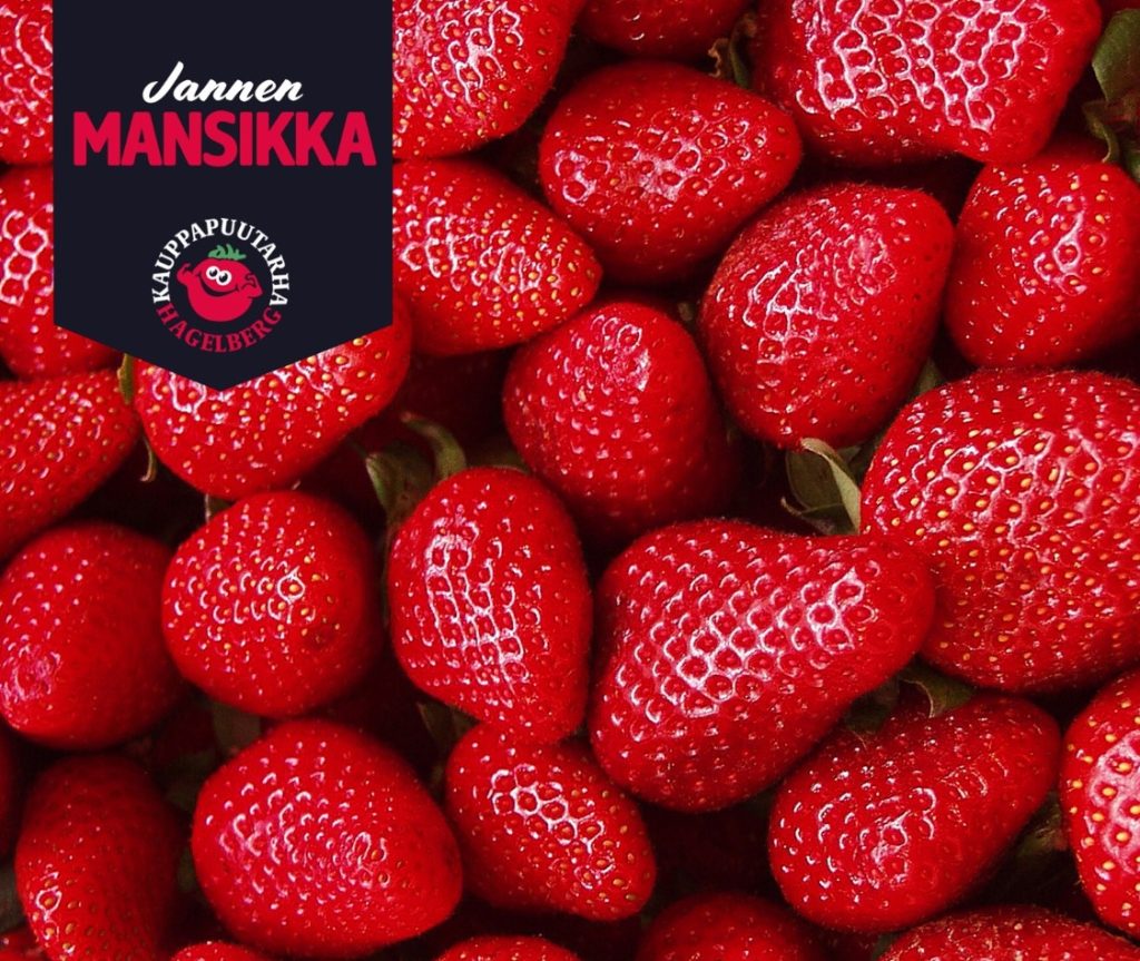 Jannen mansikat