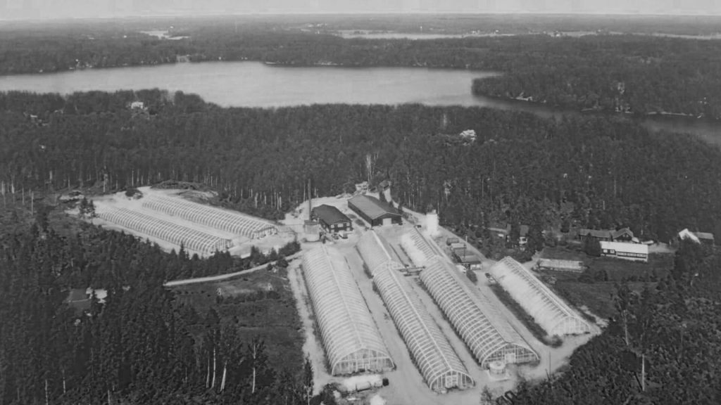 Kauppapuutarha Hagelberg ilmakuva